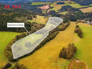 Prodej pozemku pro bydlení, Orličky, 61702 m2