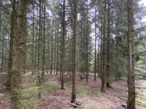 Prodej lesa, Městečko Trnávka - Lázy, 32904 m2