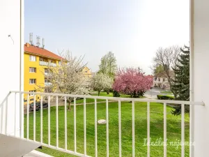 Pronájem bytu 2+kk, Tursko, Nová, 44 m2