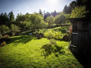 Pronájem bytu 1+1, Děčín, Žlebská, 50 m2