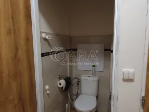 Pronájem bytu 2+kk, Praha, Litevská, 63 m2