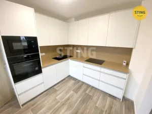 Pronájem rodinného domu, Raduň, Mírová, 48 m2