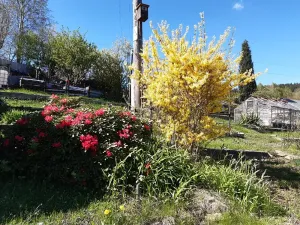 Prodej zahrady, Desná, Sokolská, 775 m2