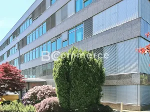 Pronájem kanceláře, Brno, Vídeňská, 175 m2