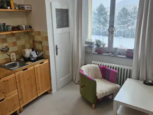 Pronájem bytu 1+1, Příbram - Příbram VII, Komenského, 45 m2