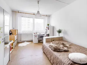 Prodej bytu 1+1, České Budějovice, N. Frýda, 41 m2