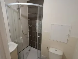 Pronájem bytu 1+kk, Ostrava - Poruba, Aleše Hrdličky, 24 m2