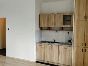 Pronájem bytu 1+kk, Ostrava - Poruba, Aleše Hrdličky, 24 m2