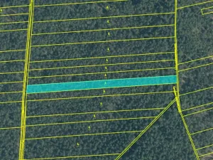 Dražba lesa, Hranice, 4805 m2