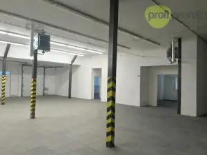 Pronájem obchodního prostoru, Zlín, Rybníky IV, 460 m2