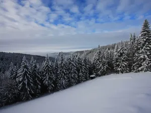 Prodej bytu 3+kk, Černý Důl, 77 m2