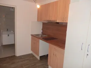 Pronájem bytu 1+kk, Zlín, U Náhonu, 29 m2