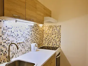 Pronájem bytu 1+kk, Brno, Koliště, 23 m2