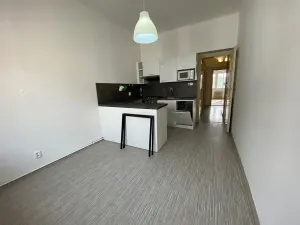 Pronájem bytu 1+1, Plzeň, Alešova, 50 m2