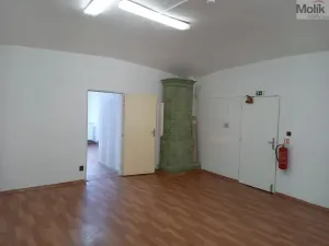 Pronájem skladu, Krupka - Bohosudov, Koněvova, 50 m2
