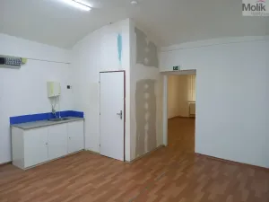 Pronájem skladu, Krupka - Bohosudov, Koněvova, 50 m2