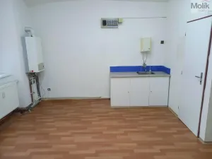 Pronájem skladu, Krupka - Bohosudov, Koněvova, 50 m2