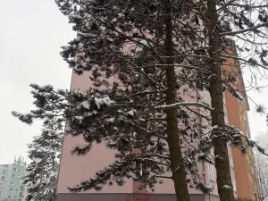 Prodej bytu 3+1, Aš, Dlouhá, 60 m2