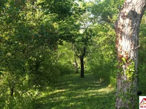 Prodej zahrady, Brno - Židenice, 1227 m2