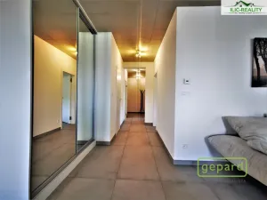 Pronájem bytu 3+kk, Plzeň, Na Roudné, 96 m2