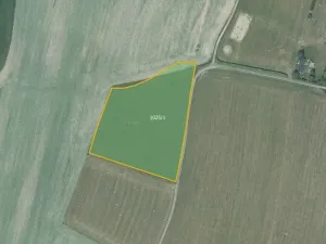 Prodej louky, Nové Lublice, 16501 m2
