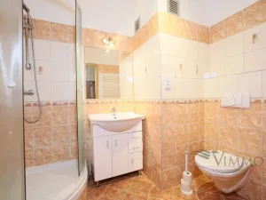 Pronájem bytu 1+1, České Budějovice - České Budějovice 2, V. Volfa, 41 m2