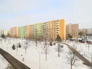 Pronájem bytu 1+1, České Budějovice - České Budějovice 2, V. Volfa, 41 m2