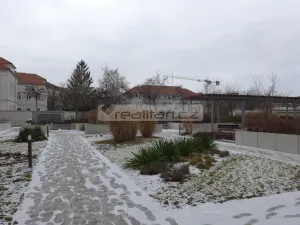 Pronájem bytu 2+kk, Plzeň - Jižní Předměstí, Stehlíkova, 67 m2