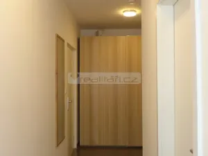 Pronájem bytu 2+kk, Plzeň - Jižní Předměstí, Stehlíkova, 67 m2