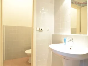 Pronájem bytu 2+kk, Brno - Staré Brno, Pekařská, 92 m2