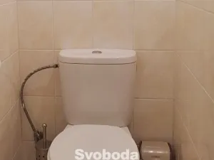 Pronájem bytu 2+1, Nupaky, K Parku, 54 m2