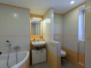 Pronájem bytu 2+1, Liberec - Liberec I-Staré Město, Rumjancevova, 55 m2