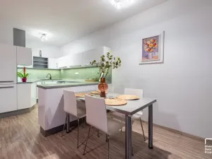 Prodej bytu 4+kk, České Budějovice, Fráni Šrámka, 91 m2