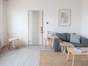 Prodej bytu 1+1, České Budějovice - České Budějovice 3, Plzeňská, 30 m2