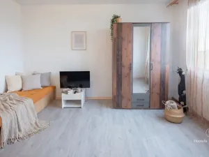 Prodej bytu 1+1, České Budějovice - České Budějovice 3, Plzeňská, 30 m2