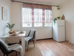 Prodej bytu 1+1, České Budějovice - České Budějovice 3, Plzeňská, 30 m2