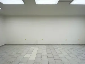 Pronájem obchodního prostoru, Olomouc - Nové Sady, Střední novosadská, 34 m2