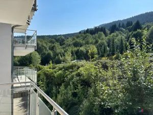 Prodej apartmánu, Dolní Morava, 52 m2