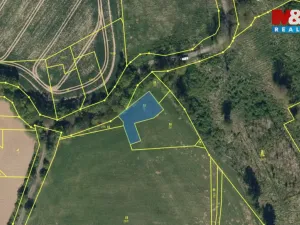 Prodej louky, Šetějovice - Žibřidovice, 541 m2