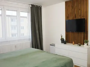 Pronájem bytu 2+1, Prostějov, Šárka, 65 m2