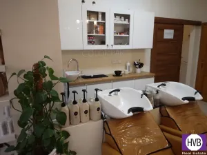 Pronájem komerční nemovitosti, Praha, Petrská, 62 m2