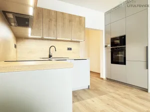 Prodej bytu 2+kk, Litultovice, 47 m2