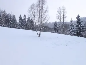 Prodej pozemku, Dlouhý Most, 8531 m2