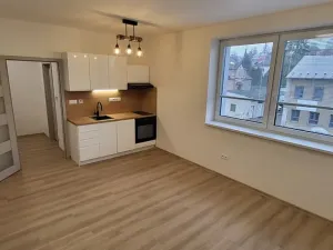 Pronájem bytu 1+kk, Nový Jičín, Palackého, 25 m2