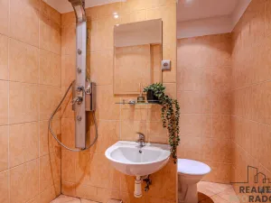 Prodej bytu 1+1, Ostrava - Moravská Ostrava, Šalamounská, 32 m2