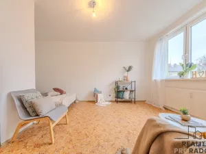 Prodej bytu 1+1, Ostrava - Moravská Ostrava, Šalamounská, 32 m2