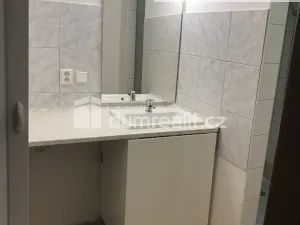 Pronájem bytu 1+kk, Praha - Karlín, Šaldova, 25 m2