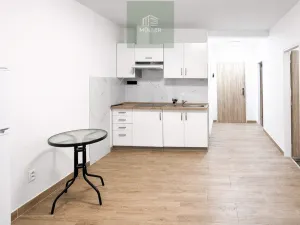 Pronájem bytu 3+1, Plzeň - Jižní Předměstí, náměstí T. G. Masaryka, 57 m2