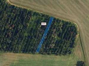 Dražba lesa, Dolní Vilémovice, 1134 m2