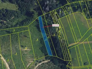 Dražba lesa, Spešov, 1009 m2